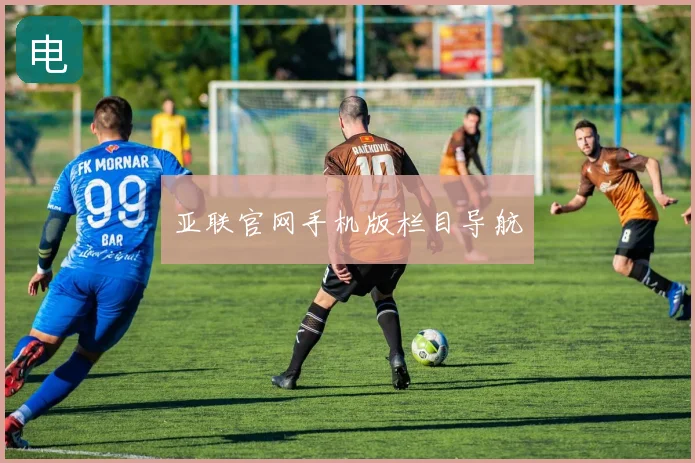 亚联官网手机版栏目导航
